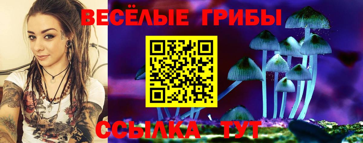 Псилоцибиновые грибы Cubensis Альметьевск